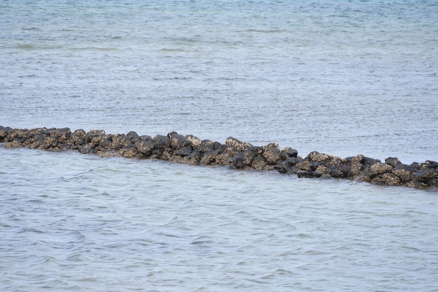 sea water with rocks stacked and barnacles on those rocks