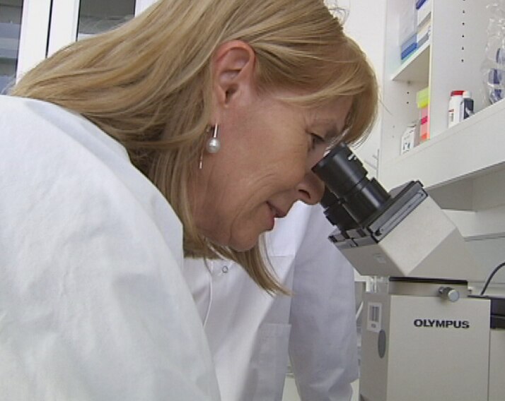 Promising results from gene therapy research to treat macular ...