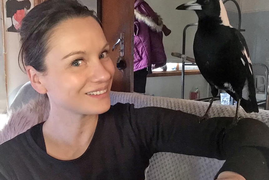 Danielle Witting inside with magpie perching on her arm.