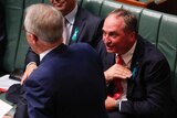 Barnaby Joyce sits in Parliament