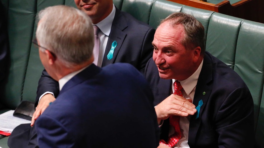 Barnaby Joyce sits in Parliament