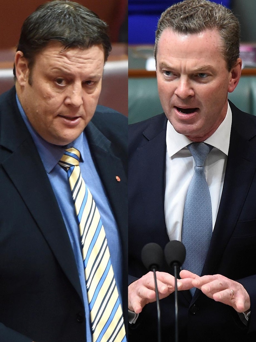 Glenn Lazarus and Christopher Pyne