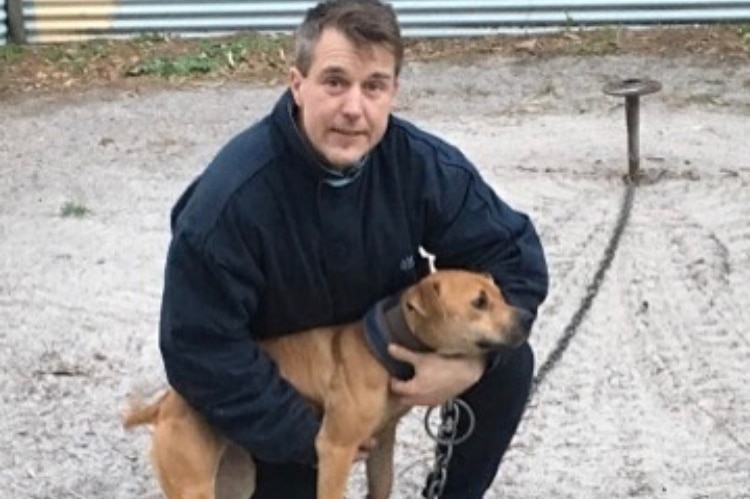 A man kneels down holding a dog wearing a chain.