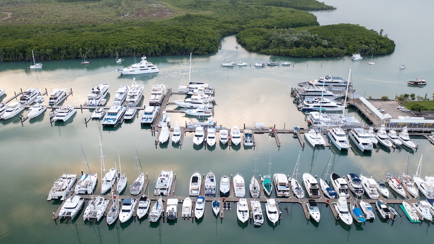 Boats in a calm marina with foliage covered shore in background