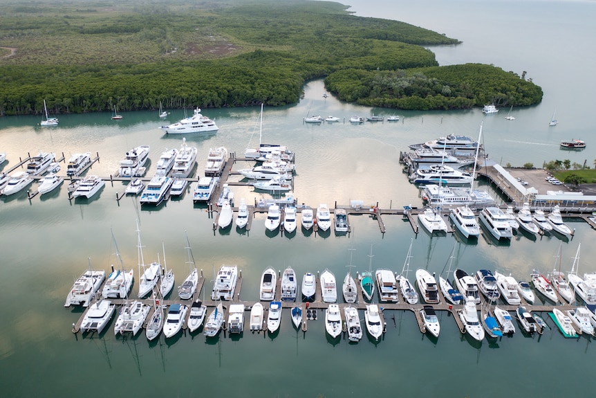 Boats in a calm marina with foliage covered shore in background