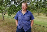 A middle aged woman stands proud, hands in pockets in a macadamia orchard. She dons an old work shirt and pants.