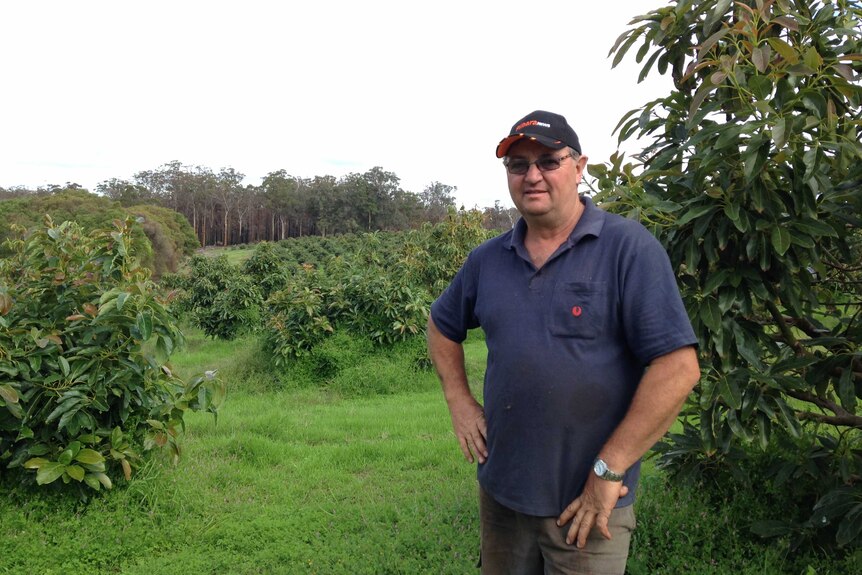Max Rudd in his Northcliffe orchard after a spate of suicide in wake of bushfire