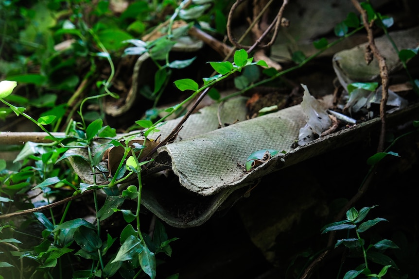 Grey sheets of building materials lying in green weeds