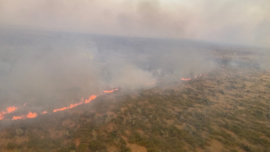An aerial view of a long line of bushfire snaking through bushland.