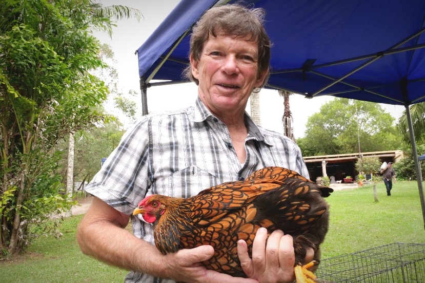 A man holds a brown and black chicken