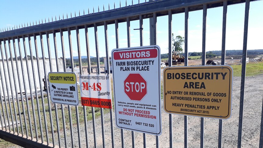 Biosecurity signs on a locked farm gate.