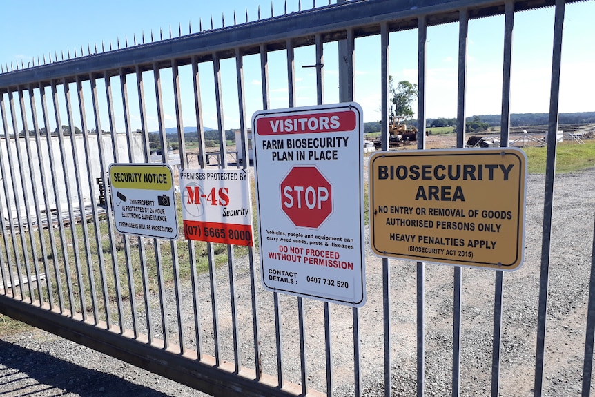 Biosecurity signs on a locked farm gate.