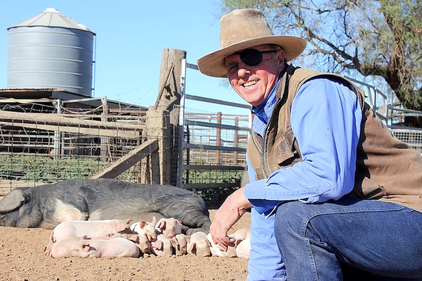 Jack Hewitt kneels in front of a pig and her piglets.