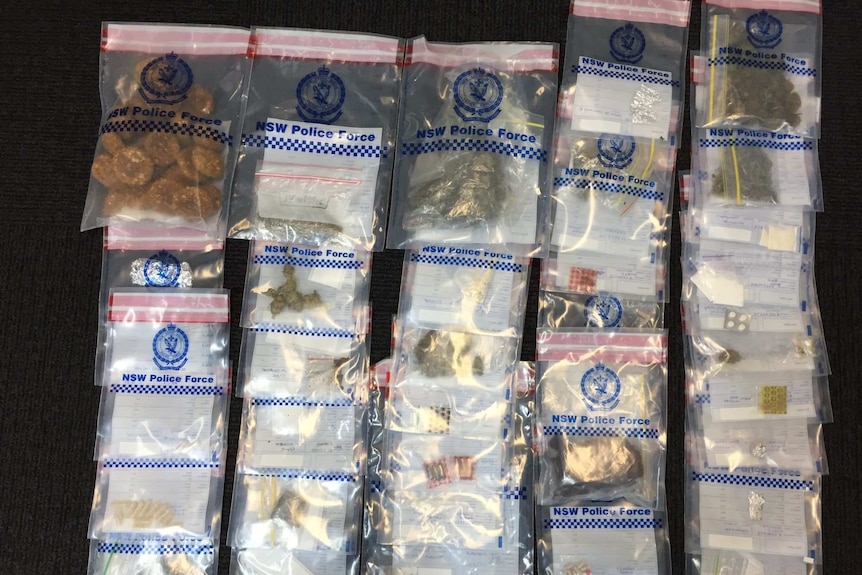 Drugs seized at the Burning Seed 2017 festival