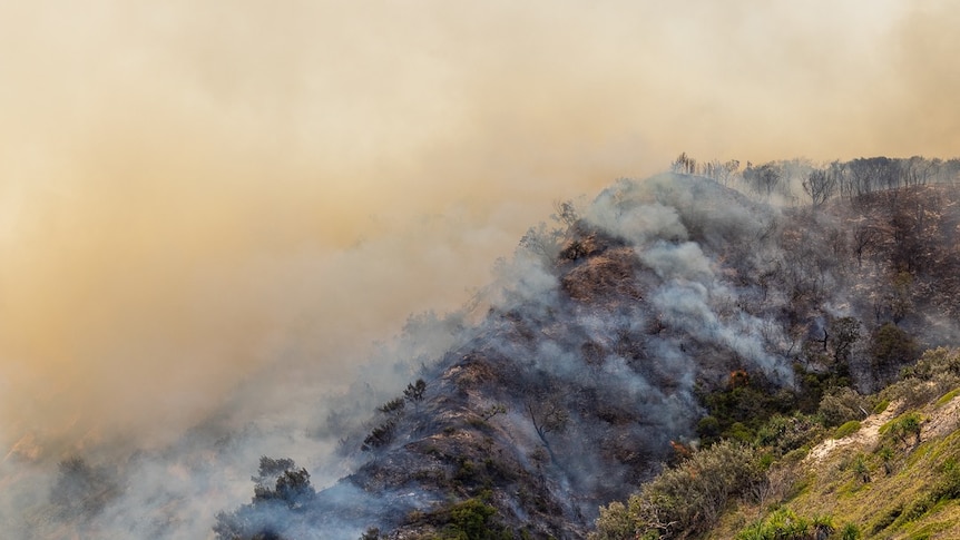 Smoke billows over scorched land at Fraser Island.