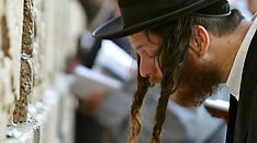An ultra-orthodox Jewish man prays at the Western Wall (Reuters: Gil Cohen Magen)