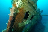 Nyora steam tug shipwreck