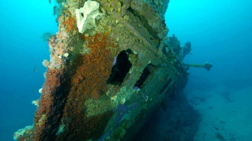 Nyora steam tug shipwreck
