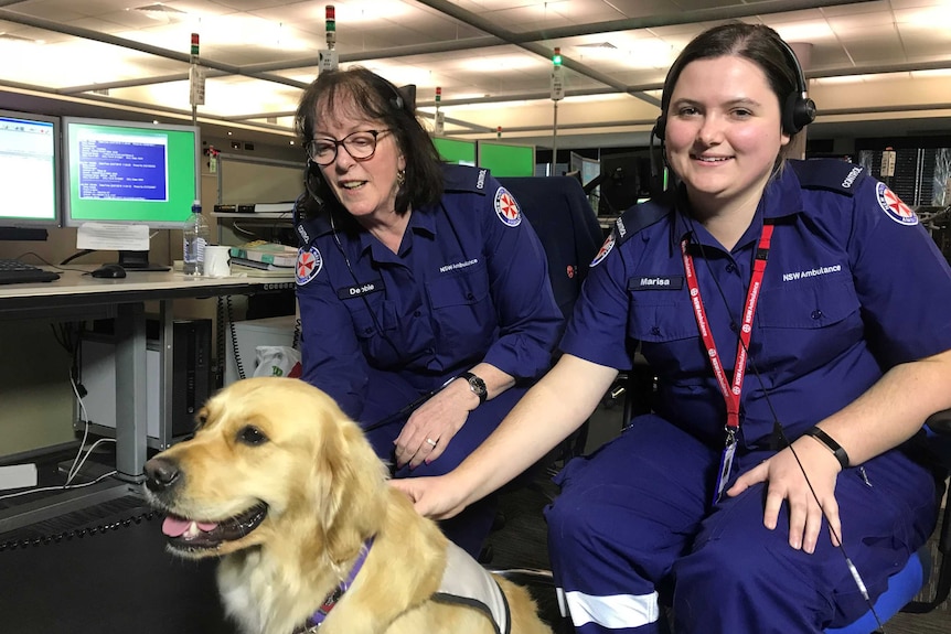 Two women pat a dog