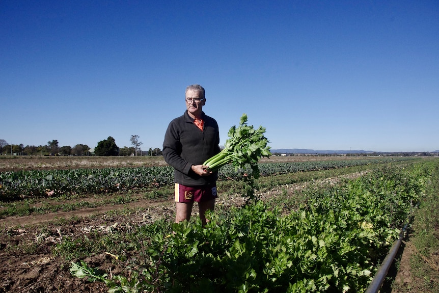 Photo of a man standing in a vegetable patch.
