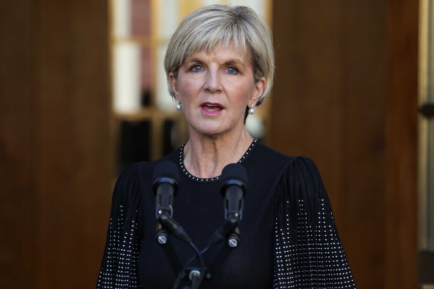 Julie Bishop stands at a lectern, speaking to the media during a press conference.