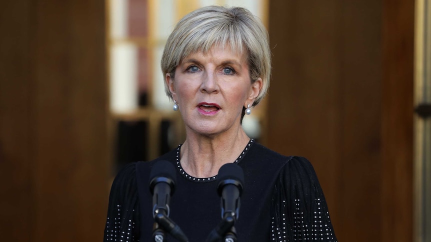 Julie Bishop stands at a lectern, speaking to the media during a press conference.