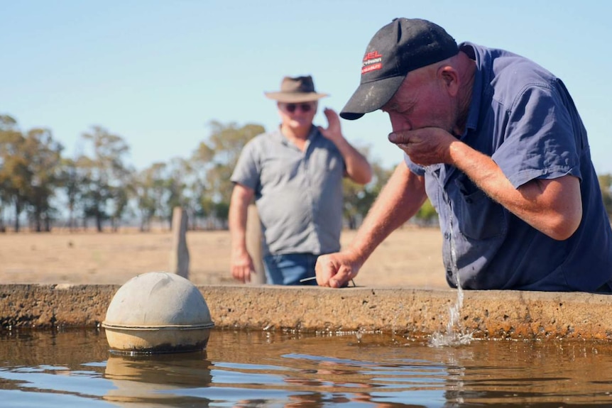 Water diviner Neil Derrick is drinking water from a water trough