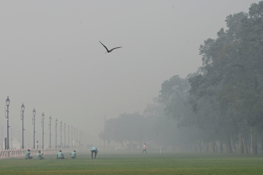 A bird flies enveloped by smog above a long park with green turf receeding into the grey horizon.