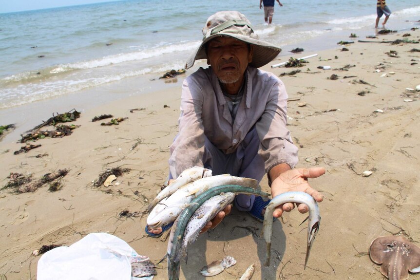 A man holds up dead fish on a beach in Vietnam.