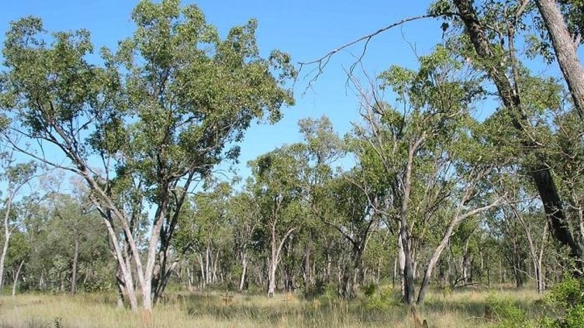 Bimblebox Nature Reserve near Alpha in central Queensland