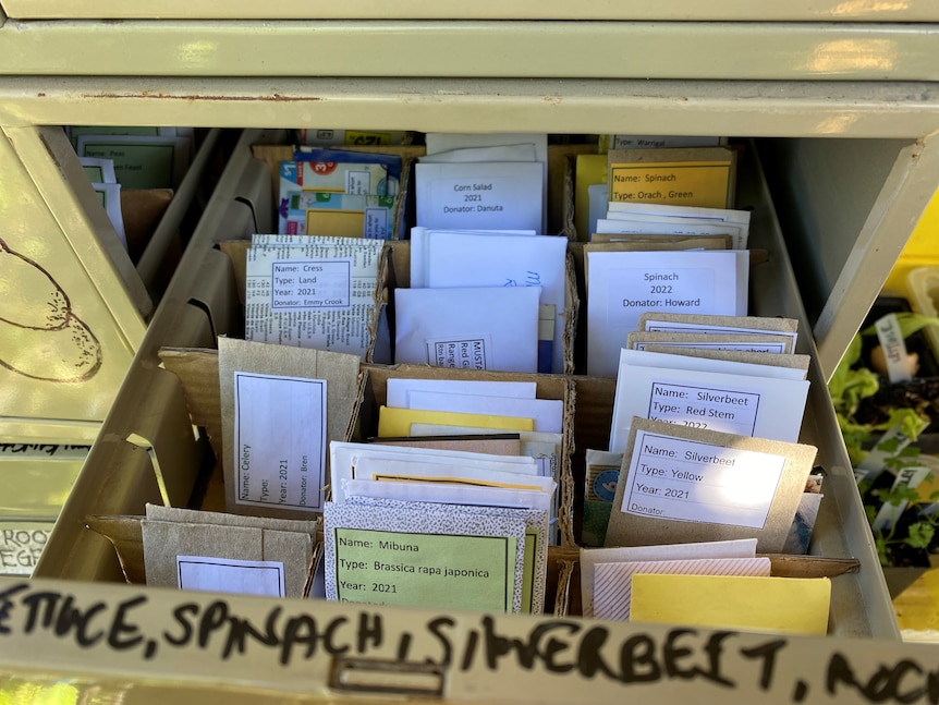 A drawer filled with packets of seeds.