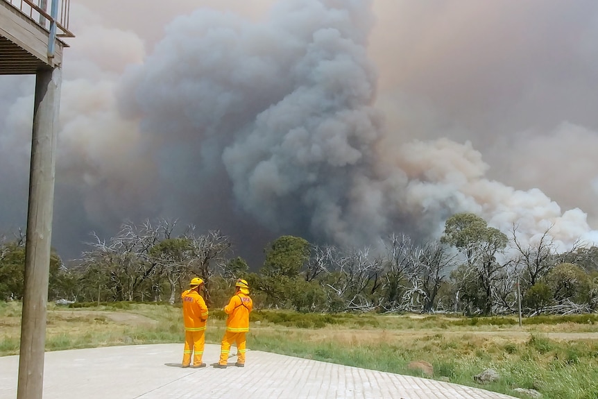 Fire fighters stand back and watch plumes of smoke in the near distance as fire burns through trees