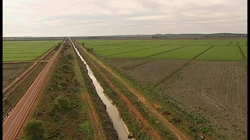 Irrigators across the Murray-Darling Basin are expected to have their water allocations cut.