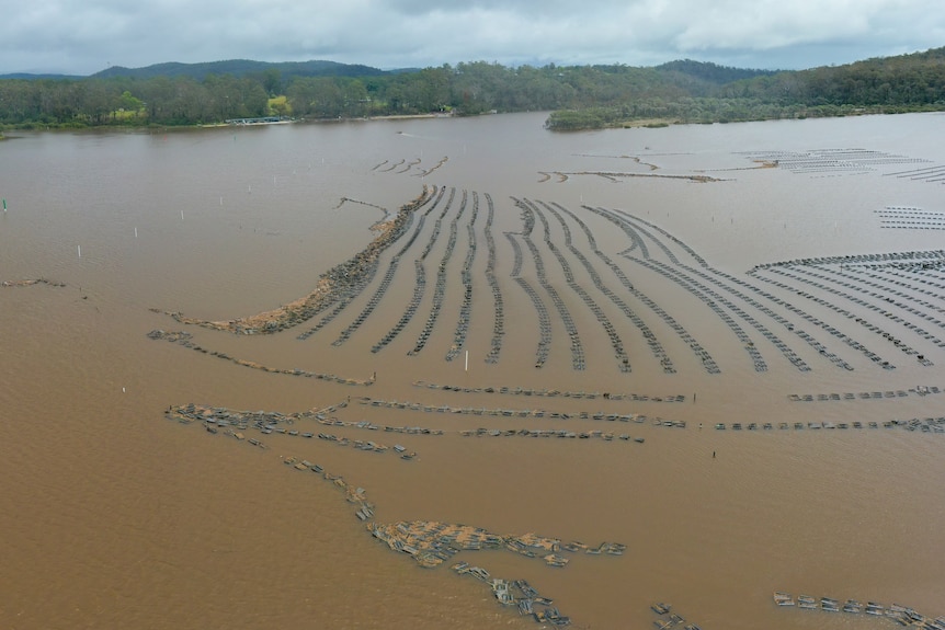 Pambula Lake after the recent flood event