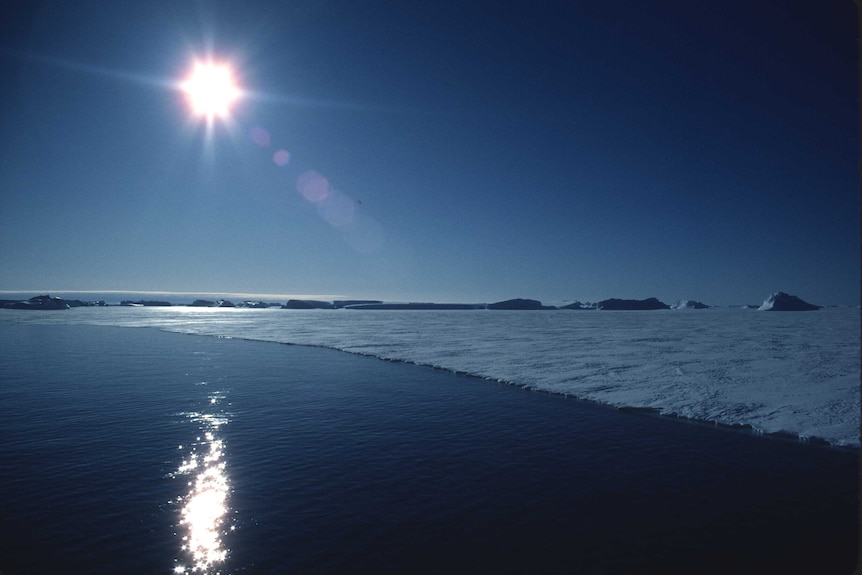The edge of the ocean in Antarctica, with sea ice.