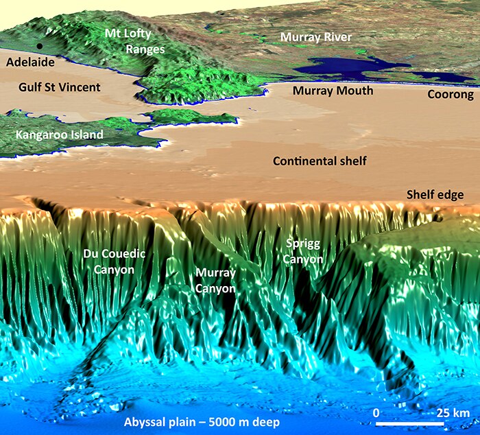 Graphic showing underwater canyons near Kangaroo Island
