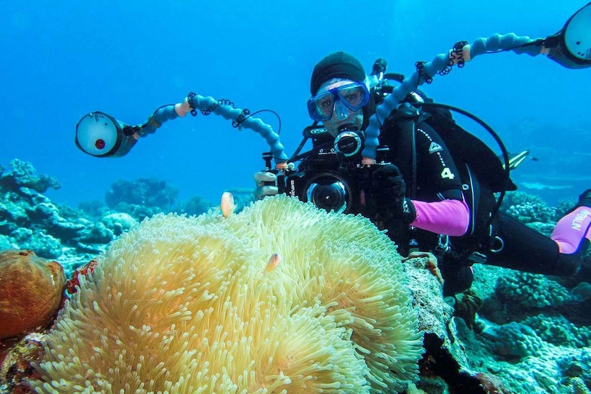 A woman in a wetsuit and scuba equipment uses a camera to capture coral marine life