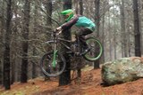 Mountain bike trails currently exist in pine forests around Orange, but will be cleared in 3 years time when logging occurs.jpg