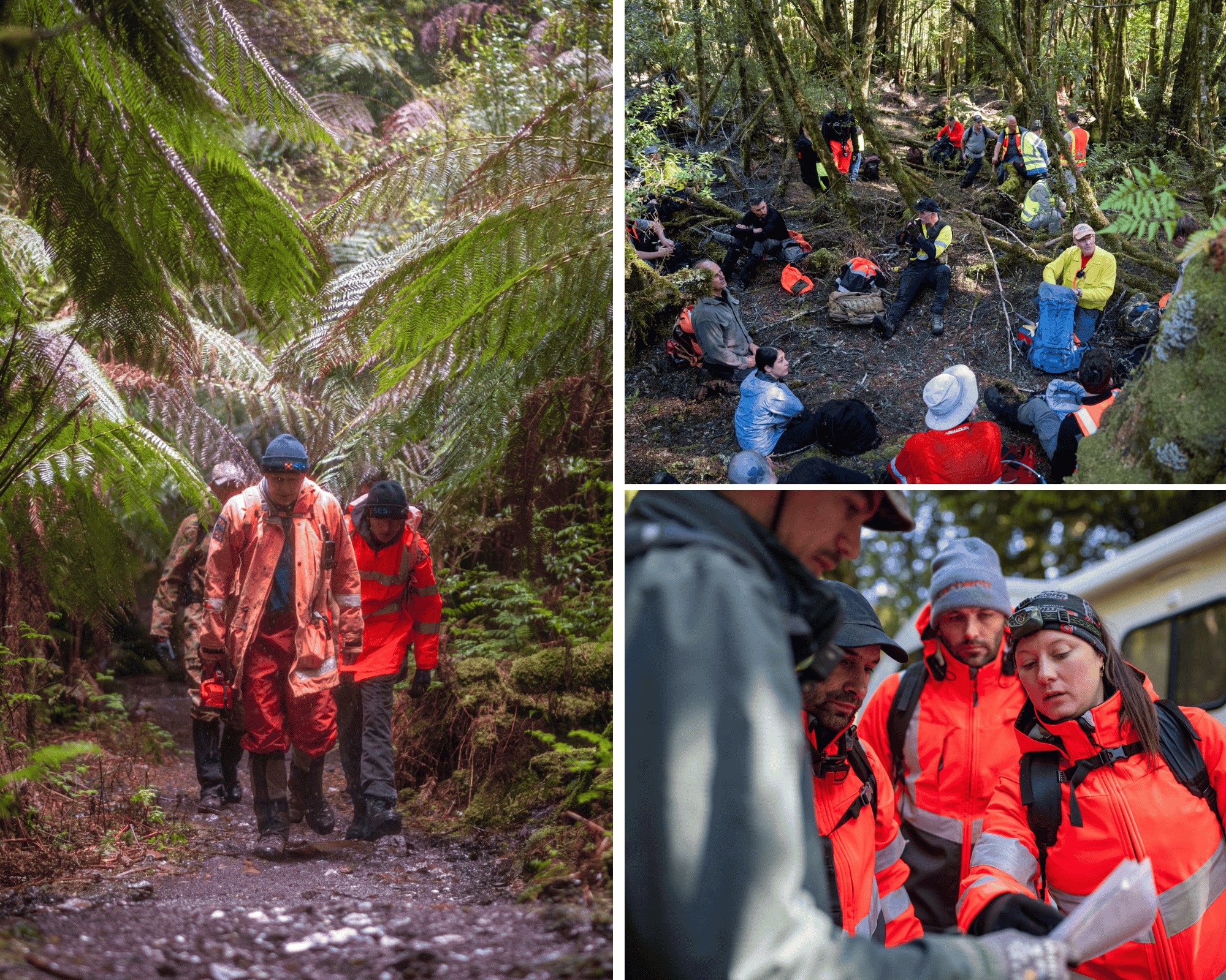 Montaje de la búsqueda de Celine Cremer cerca de la pista de Philosopher Falls en Tasmania, en diciembre de 2025.