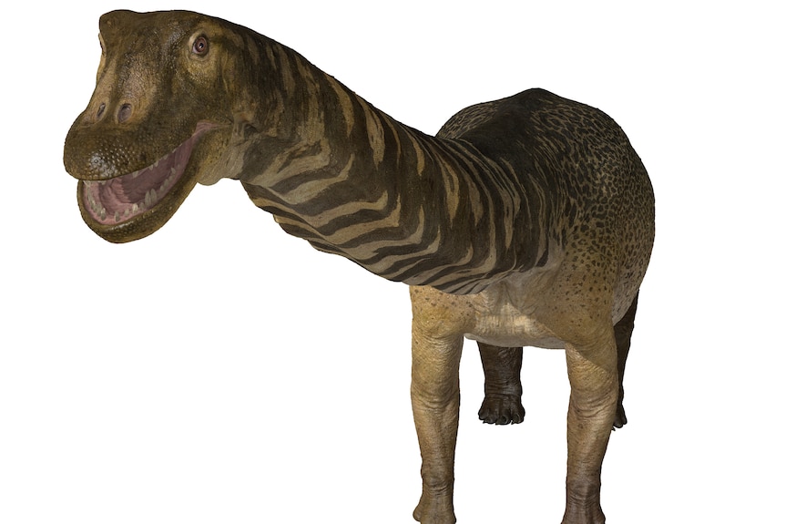 Animated image of the newly discovered dinosaur, Australotitan cooperensis