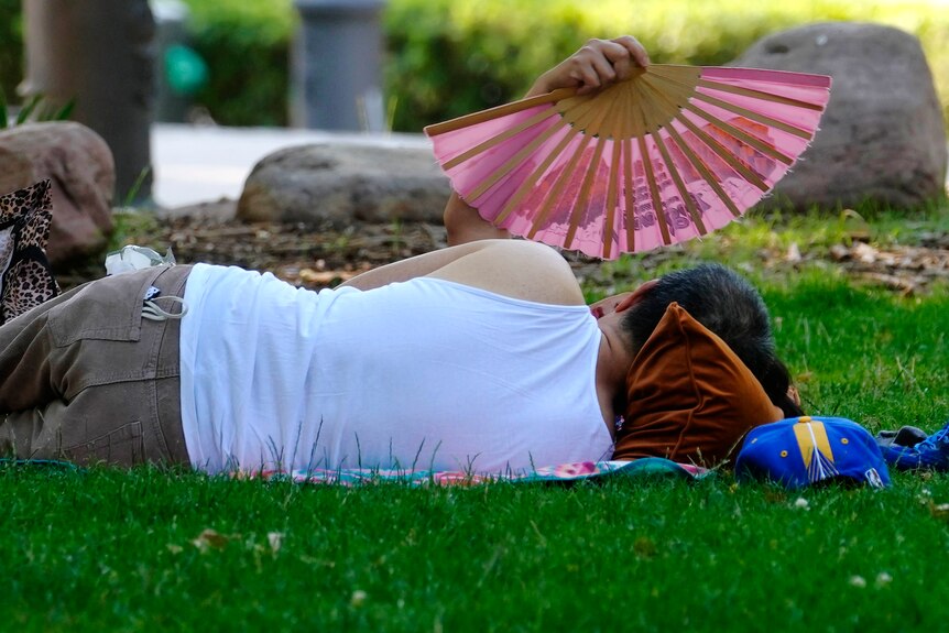 A woman is lying on grass with her back to the camera. She is holding a pink fan to her face. 