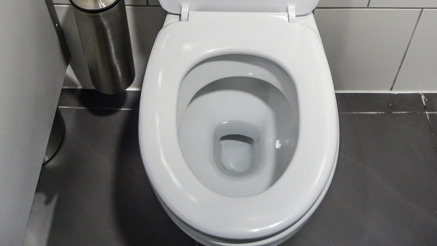 a white toilet with the lid open and seat down