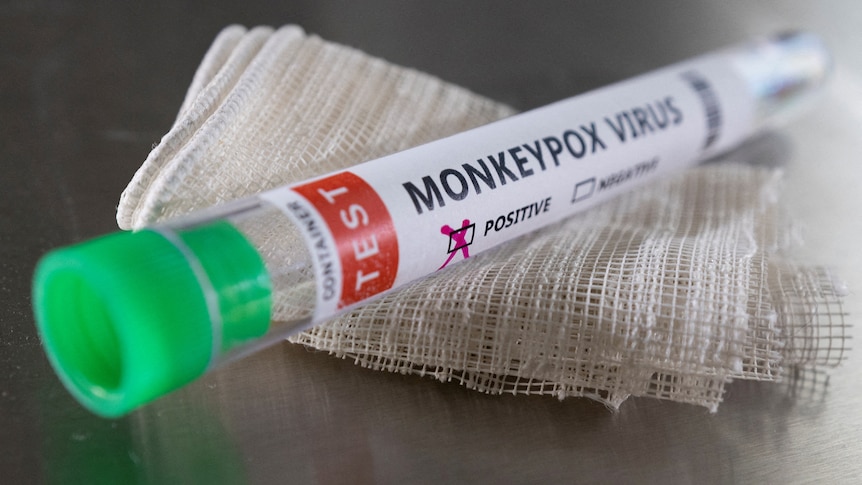 The European Union buys 110,000 monkeypox vaccines when the number of cases in Europe exceeds 900