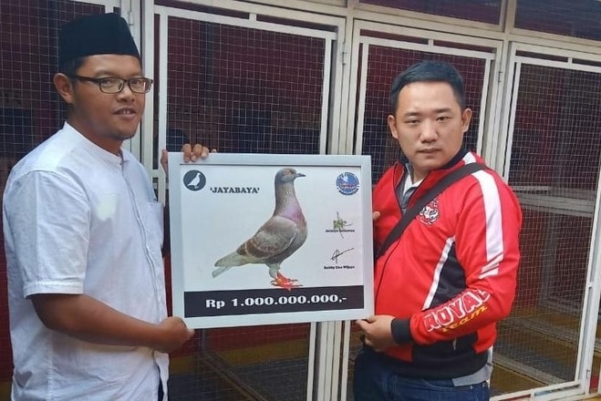 Robby Eka Wijaya holds a sign of the pigeon he had just purchased named Jayabaya.