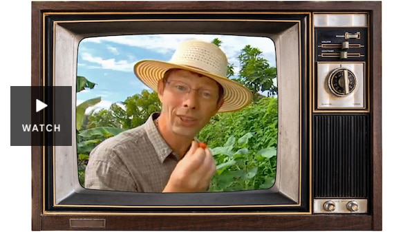 Jerry Coleby-Williams from 2008 on an vintage tv screen. Has Video.