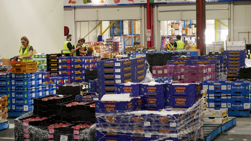 Workers sort through pallets of produce in boxes.