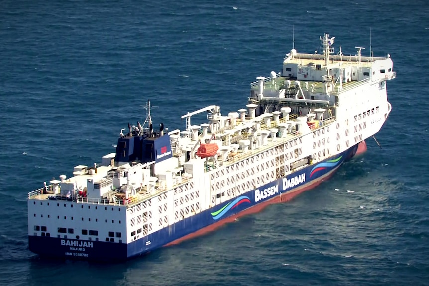 An aerial photo of a livestock carrier ship
