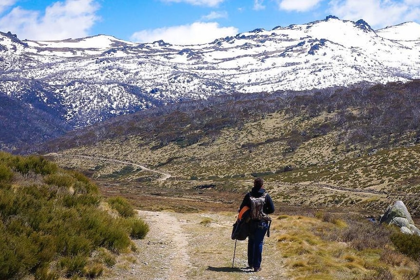 A lone hiker walks on a path towards a mountain covered in snow.