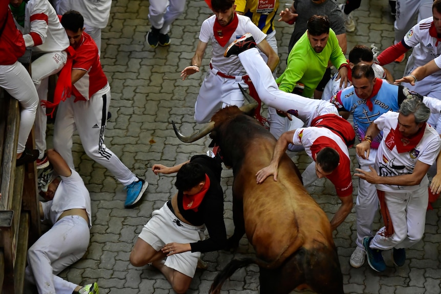 Un uomo con una camicia rossa vola in aria mentre un toro marrone corre verso un altro spettatore. 