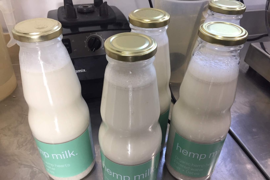 Fresh hemp milk